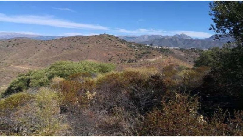 7752m² Developable land on street Cerro Lago, Torrox, Málaga