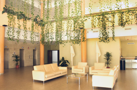 Office on street Edif.centris, P.p.la Cartuja, Tomares