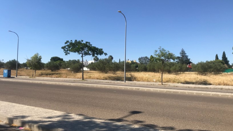 Suelo urbano de 9004m² en avenida Alfarate, Manz T1 El Zorrero, Palomares Del Río, Sevilla