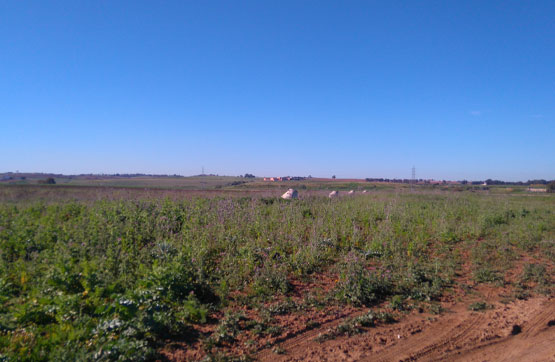 Otros de 1956m² en pol. ind. Ind.espaldillas Sunp-i.-11 Nº18-20a-23c El Cuartel, Alcalá De Guadaíra, Sevilla