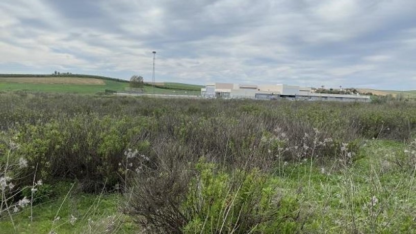 8715m² Others on sector Pp-oe-r4 Pc.ru9 Manzana M3, Burguillos, Sevilla