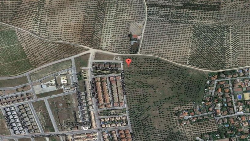 Suelo urbanizable de 62022m² en sector C-20 Santa Cecilia, Espartinas, Sevilla