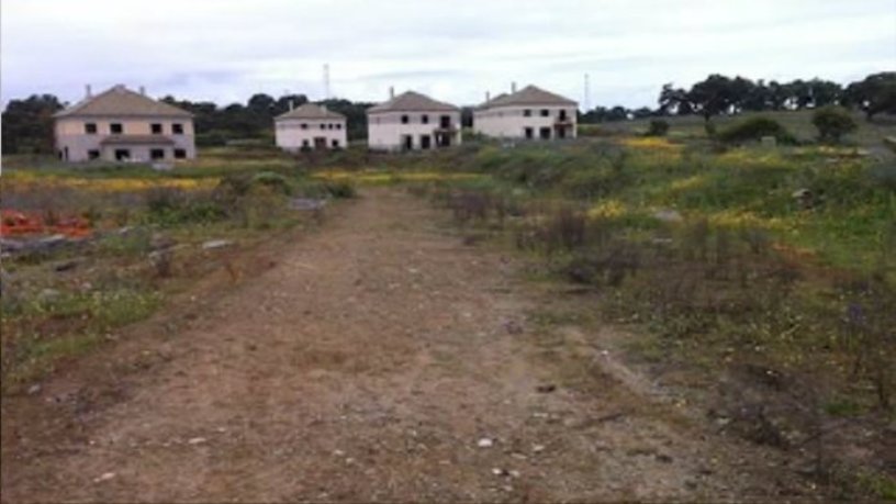 Obra parada en camino Camino De El Garrobo, Guillena, Sevilla