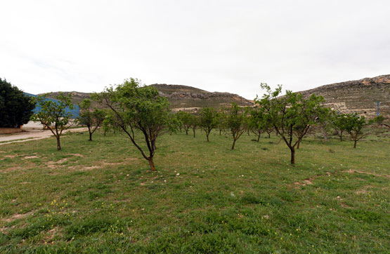 Finca rústica de 5000m² en paraje La Venta, Polígono 7, Parcela 20 -S, Alhama De Aragón, Zaragoza