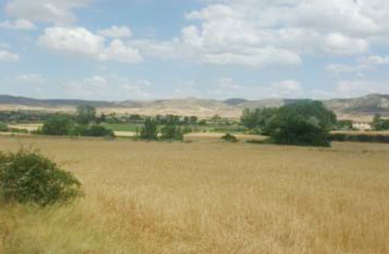 Finca rústica  en pasaje Partida De La Serna, Polig 6, Parc 66, Grisel