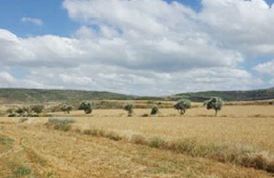 Finca rústica  en pasaje Cairan, Poligono 26, Parecela 457, Tarazona