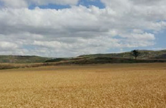 Finca rústica  en pasaje Cairan, Poligono 26, Parecela 457, Tarazona