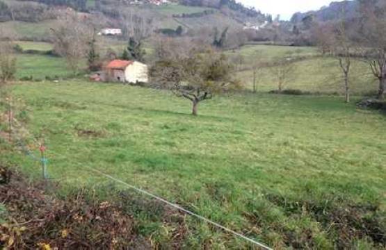 Developable land on road Soto, Sau-cl-01, Parcela De Soto, Colunga