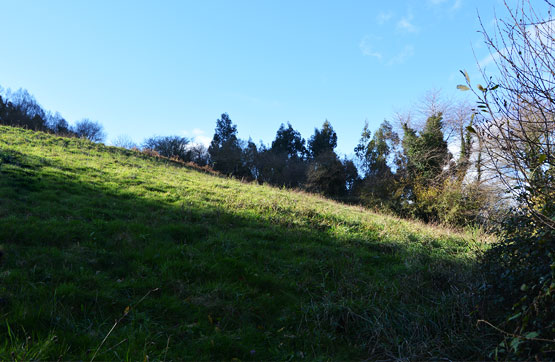 Finca rústica de 1564m² en calle Los Llanos Parroquia De Coro Parc.3, Villaviciosa, Asturias