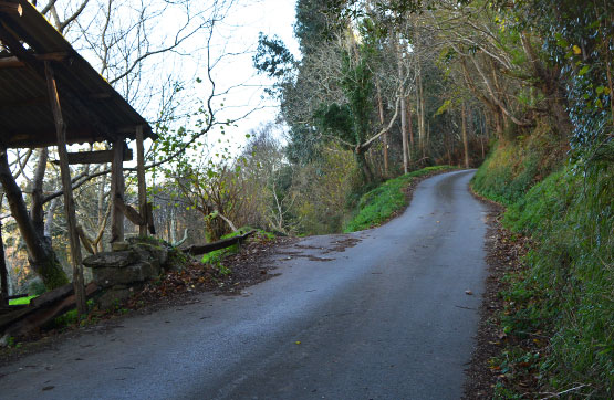 Finca rústica de 1564m² en calle Los Llanos Parroquia De Coro Parc.3, Villaviciosa, Asturias