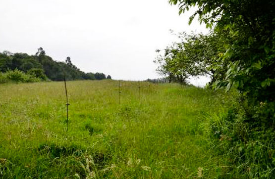 Otros de 1200m² en calle Sitio Cuetu Dangu En La Parroquia De Carrandi, Colunga, Asturias