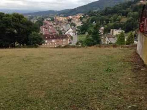 Autres  dans route San Roque,finca Parque Del Prado De S.roque S/n, Tineo