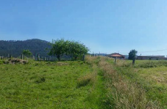 2621m² Others on estate Los Cuervos S/n, Polig 12 Parc 11102, Cudillero, Asturias