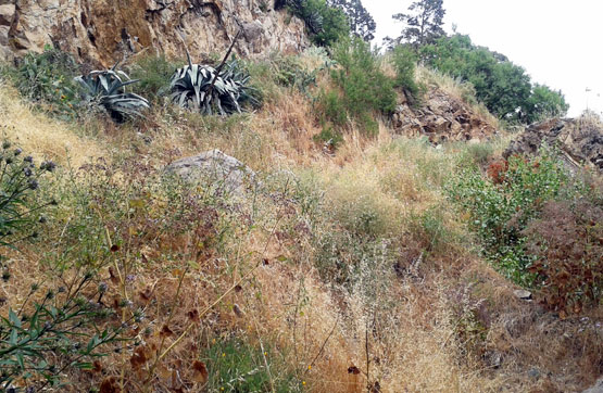 Finca rústica de 11419m² en calle Montaña Cabrejas. Lomo Caballo., Vega De San Mateo, Las Palmas