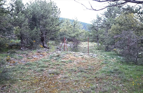 Rustic property  on spot Umbría De Cabeza García, Tamajón