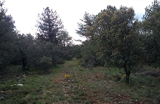 Finca rústica de 274m² en paraje Umbría De Cabeza García, Tamajón, Guadalajara