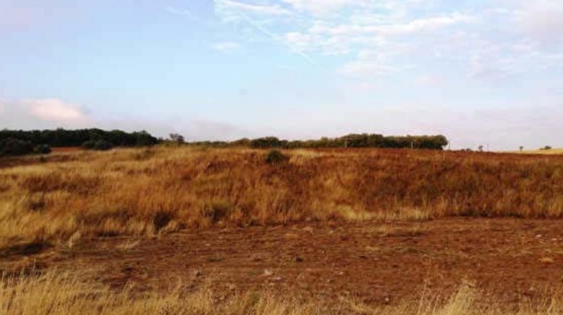 40980m² Developable land on ind. park 7 Parcela 186, Pioz, Guadalajara