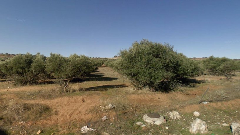 27396m² Developable land on street Tapiadilla 5259, Cabanillas Del Campo, Guadalajara