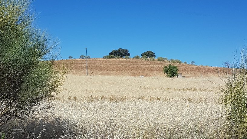 Terrain urbain de 798m² dans rue Isla De Puerto Rico Ac, Casar (El), Guadalajara