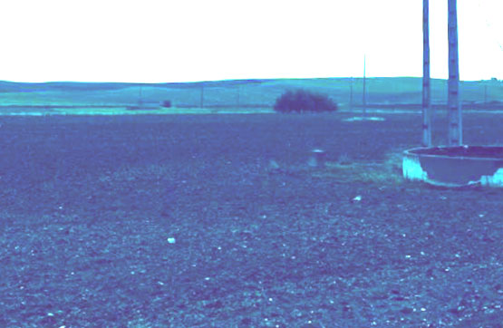 Developable land in sector La Olivilla, P/p Parcela 28 Polig.3, Rielves, Toledo