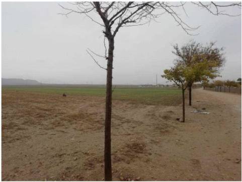 60859m² Developable land on street Prado Nuevo S/n, Villaseca De La Sagra, Toledo