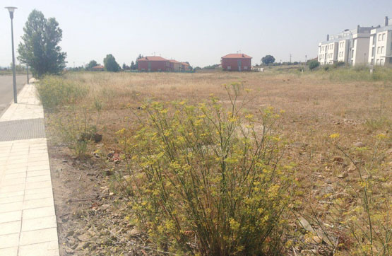 13090m² Urban ground on sector Escobar, Chozas De Abajo, León