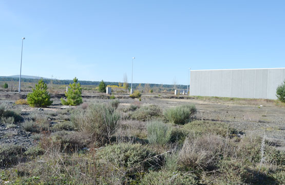 Otros  en calle Las Hortensias- Pol Ind Brañuelas Parc 3, Villagatón