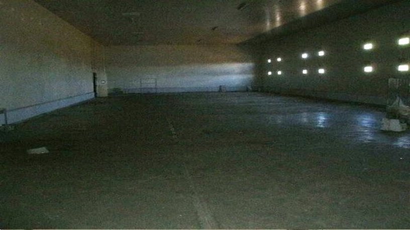 Nave industrial de 4680m² en avenida Puente De Hierro, Carrizo, León