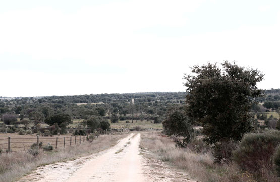 Otros de 15000m² en paraje Colmenero, Pol.501 Parcela 5026, Alamedilla (La), Salamanca