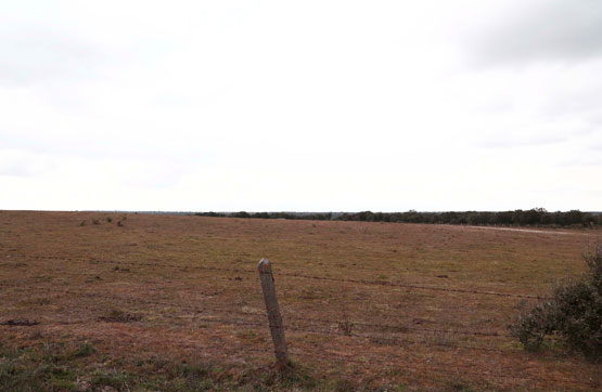 Otros de 15000m² en paraje Colmenero, Pol.501 Parcela 5026, Alamedilla (La), Salamanca