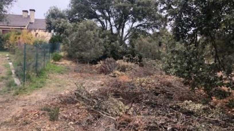 Urban ground  on street Parcela 200, C/ Higuera, Carrascal De Barregas