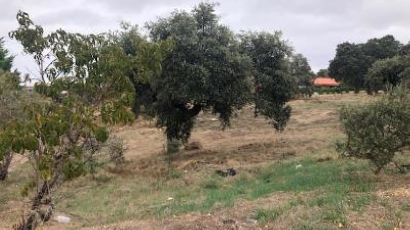 Terrain urbain  dans rue Parcela B120, C/ Manuel Herrera, Carrascal De Barregas