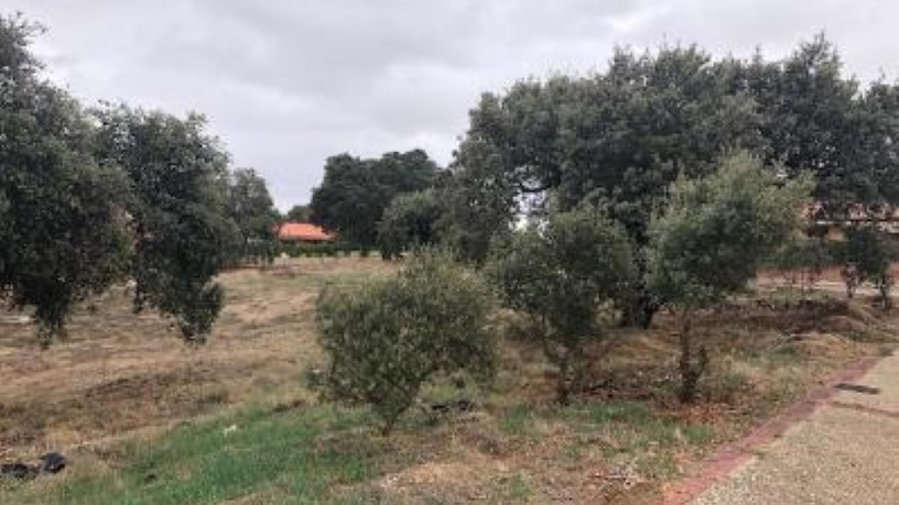 Terrain urbain  dans rue Parcela B120, C/ Manuel Herrera, Carrascal De Barregas