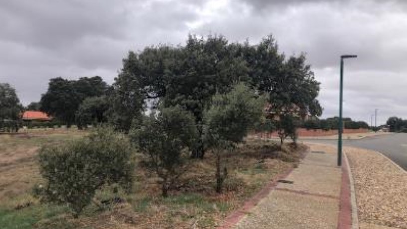 Terrain urbain  dans rue Parcela B120, C/ Manuel Herrera, Carrascal De Barregas