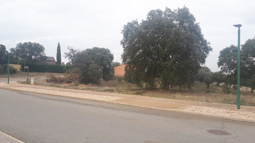 Work stopped in urbanization Oasis Golf (Sector Ur-r3) S/n, Pc 71, Carrascal De Barregas, Salamanca