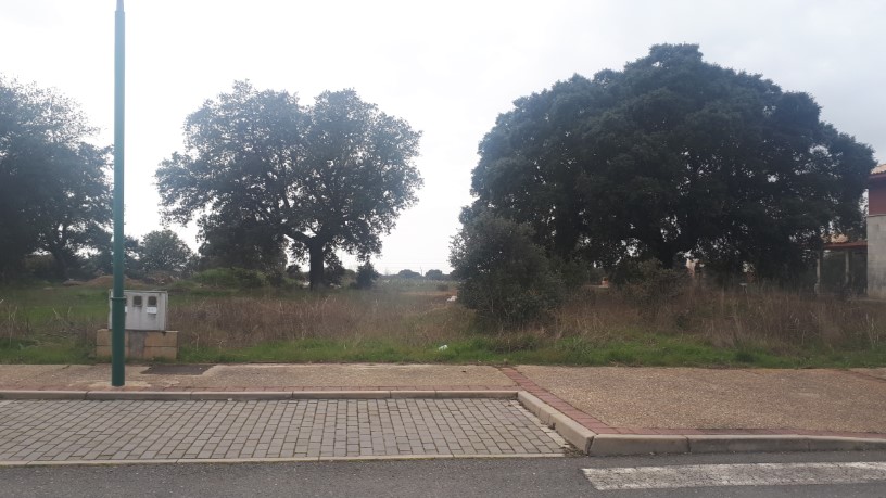 Obra parada en urbanización Oasis Golf (Sector Ur-r3) S/n, Pc 71, Carrascal De Barregas