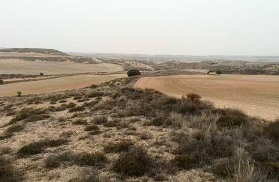 Finca rústica  en paraje Cabeza Gorda Parcela 781 Poligono 24, Almaluez