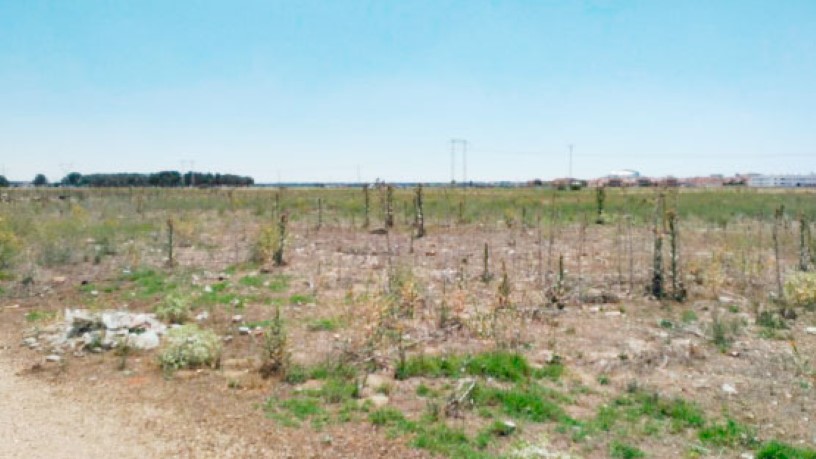 Terrain urbain de 14467m² dans rue La Moraleja. Suelo Residencial Periferico, Íscar, Valladolid