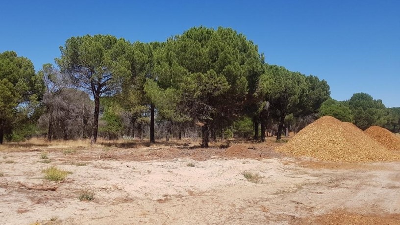 Developable land  on sector Sued-10 Paraje La China Finca A-1, Tordesillas