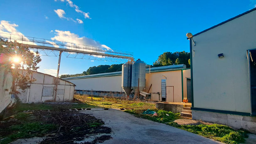 Entrepôt industriel de 2016m² dans rue Pago De Abrojal, Traspinedo, Valladolid