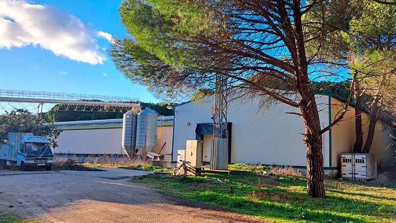 Entrepôt industriel de 2016m² dans rue Pago De Abrojal, Traspinedo, Valladolid