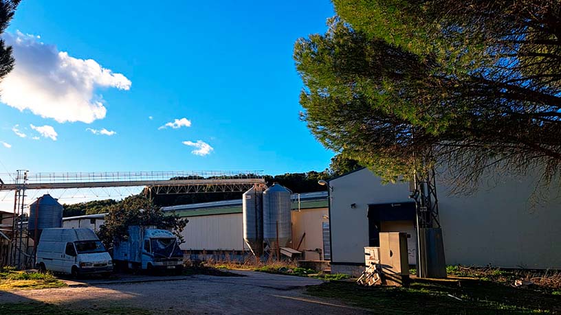 Entrepôt industriel de 2016m² dans rue Pago De Abrojal, Traspinedo, Valladolid