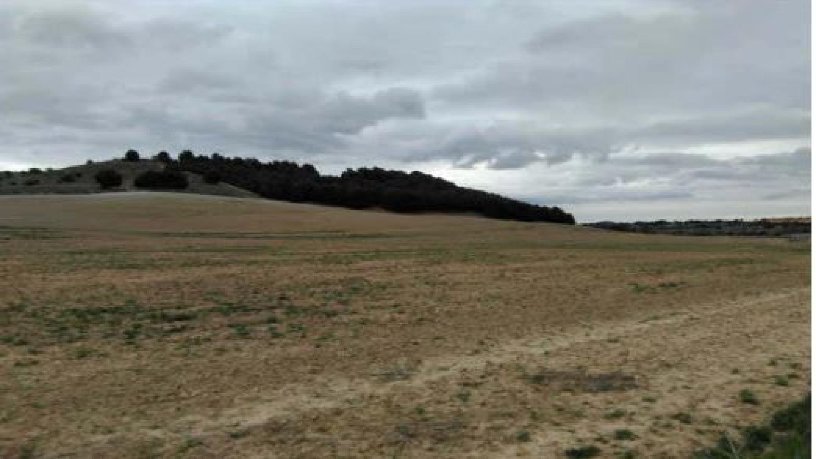 Developable land in  Pago Palacios S/n, Valladolid