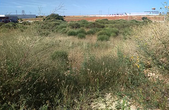Developable land on ind. park Industrial Subpoligono B, 0, Parc I.2.2, Valcabado