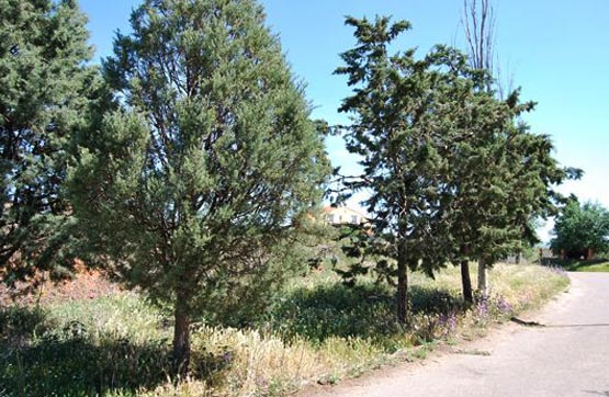 Autres de 916m² dans marche El Carmen, Toro, Zamora