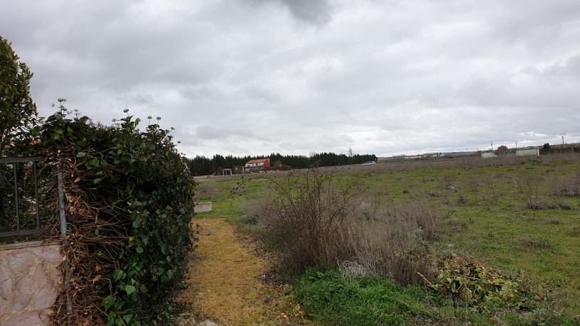 5951m² Developable land on street Felipe Silva P.p.1.1 Pc.vh1, Villaralbo, Zamora