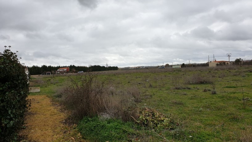 5951m² Developable land on street Felipe Silva P.p.1.1 Pc.vh1, Villaralbo, Zamora