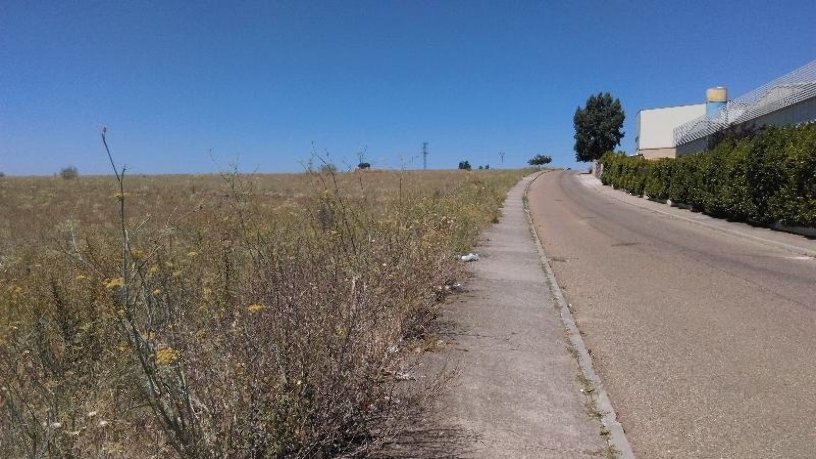 31800m² Developable land on sector 09:lobata Suelo P42 P14 0010001 0, Zamora