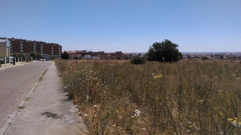 5560m² Developable land on sector 09:lobata Suelo P42 P16 0005010 0, Zamora