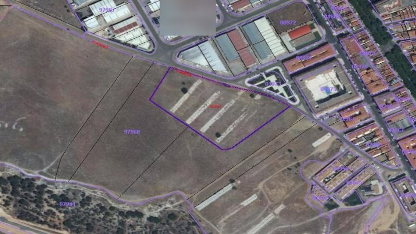 9125m² Developable land on sector 09:lobata Suelo P42 P16 0005010 0, Zamora